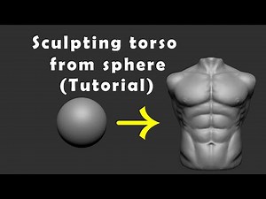 Sculpting A Male Character - Torso - How To Sculpt Torso (Speed Sculpting)(Part - 01)