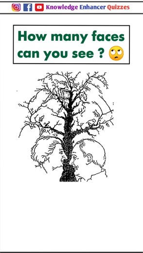 Can You Answer This Brain Teaser?