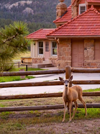 🦌Spy migrating wildlife as you settle into an armchair with a morning cup of tea or coffee at Pennzoil Cottage. 🛋️ This two-story four-bedroom, three-bathroom cottage perfectly balances shared and private spaces, while offering privacy situated just five minutes’ walk from Vermejo’s main lodge. One of the additions to the property during the Bartlett era, Pennzoil was the historic home of the estate’s physician.🩺 | Ted Turner Reserves