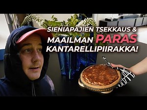 Käydään katsomassa sieniapajat ja tehdään maailman paras kantarellipiirakka!