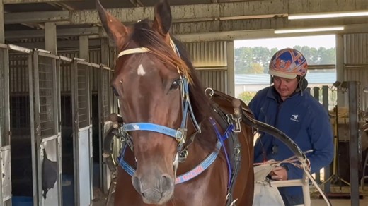 54K views · 845 reactions | "He's probably got a heart about as big as his stride!" Sam Barker and Taylah Markham reflect on their journey with Ultimate Vinnie as he prepares for the Woodlands Stud Ballarat Pacing Cup this Saturday night. Woodlands Stud NZ Ballarat & District Trotting Club Inc | Harness Racing Victoria | Facebook