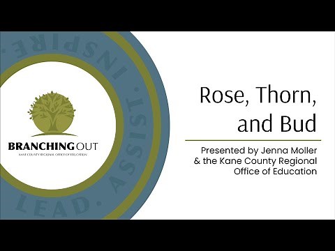 Branching Out: Rose, Thorn, and Bud