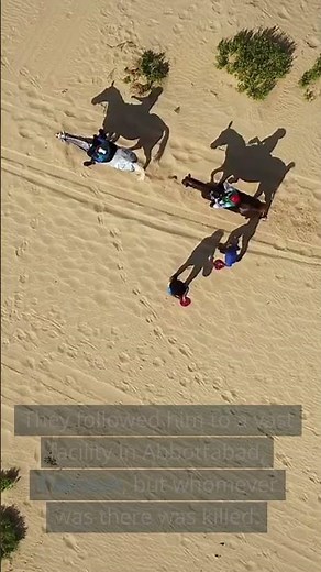 The Capture of Osama Bin Laden: Behind the Scenes of the Covert Operation