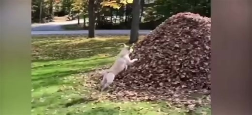 Tag your boyfriend🫣 #love #girlfriend #couple #boyfriend #lovelanguage