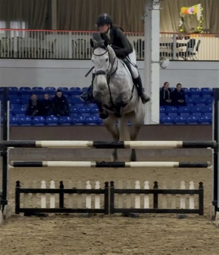 Overcoming Challenges in Equestrian Jumps