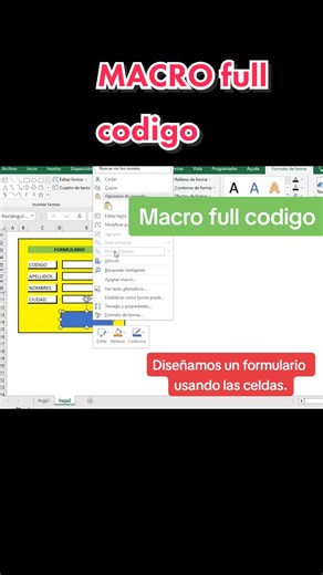 Programar Macros en Excel: Aprende a Diseñar Formularios y Códigos Completos