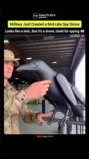 Spy Bird Drone 😳🦅