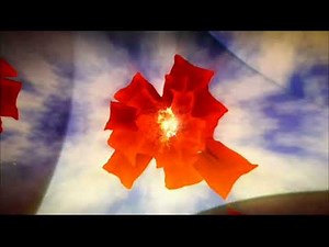 Nickelodeon Movies logo 2004 PAL Toned 2/10/25