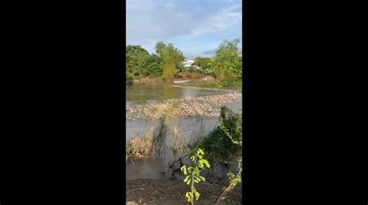 Duck Dynasty: Amazing S-Formation River Crossing Caught on Camera!