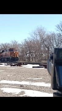 Live Gevo! (so rare)