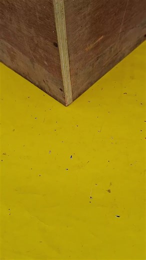 Beamish Originals (@beamishmiss)’s videos with original sound - Beamish Originals