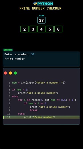 How Does Python Know If a Number Is Prime? 🤯🔢 #python #pythonbasics #pythontutorial