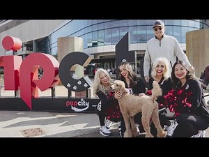 Blazers and puppies connect at Moda Center