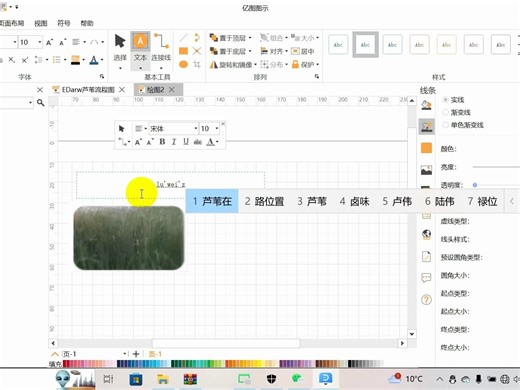 EDraw学习画流程图