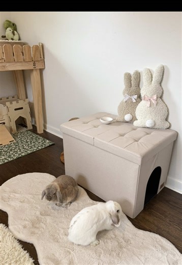 Refreshing My Bunny's Litter Box Setup