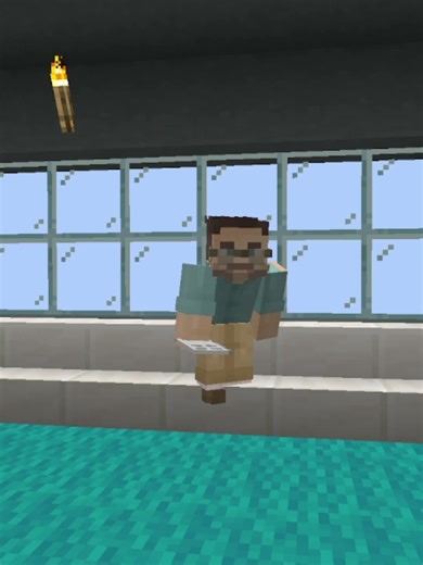 Checking the diary #recommendations #minecraft