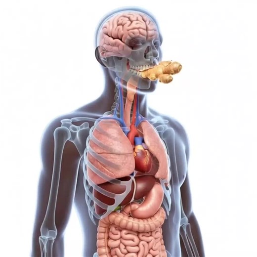 Discover the Effects of Ginger on Your Health