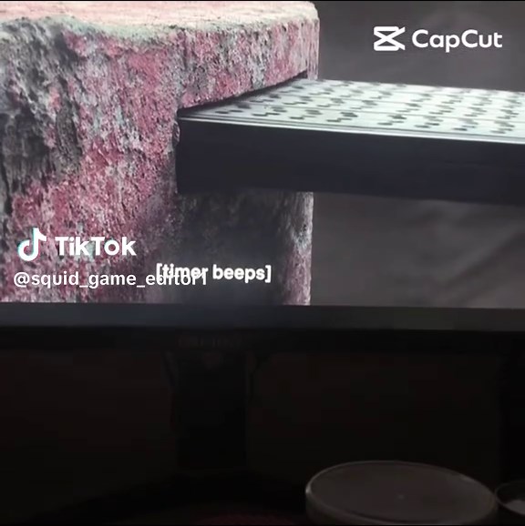 Exploring Squid Game: Insights and Theories