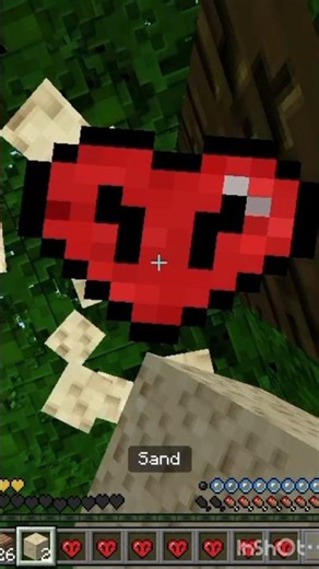 totem in #minecraft #minecraftbattle