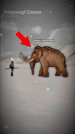 ICE AGE ANIMALS SIZE COMPARISON | FROM MIRACINONYX TO PALAEOXODON NAMADICUS