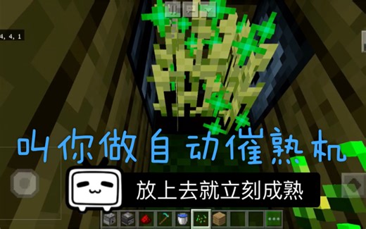 我的世界——教你怎么做自动催熟机