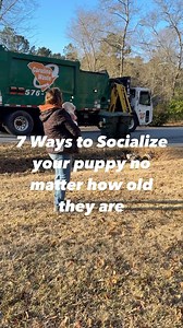 Yes, these 7 ideas are socialization—just not the kind most people expect. We tend to think socialization only means meeting people or other dogs… but real socialization is about safely exposing your puppy to the world around them. That includes sounds, sights, movements, and surfaces—things they’ll encounter daily. Technically, what you’re seeing here is often called habituation or desensitization—but for the average puppy owner, it’s all part of the same goal: A puppy who’s calm, confident, an