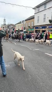 The turnout says it all! The Cotley Harriers today had crowds who were louder, stronger and bigger than ever! Thank you to Ella for sharing. The countryside is facing its greatest challenge for a generation, with a consultation on a full ban on trail hunting expected in the new year. Now, we’re asking you to support us in whatever way you can. Please donate to our Funding the Fight campaign today 👉 ca-campaign.org/FTF22A | Countryside Alliance Hunting
