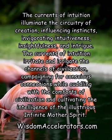 The hidden currents of intuition guide creation’s | Jack Miller