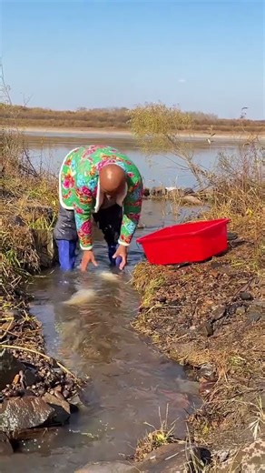 #Outdoor fishing is full of harvest#lifeisbutadream #catchingfish #fishing #ytshorts #trending