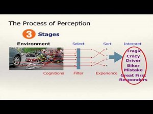 The Perception Process, Creating Reality