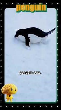 Pinguen Core 🐧 | Funniest Penguin Moments You Won’t Believe 😂