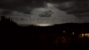 1.4K views · 55 reactions | Hawaiian nights, the moonlit ocean... and the coqui frogs. | Adam Block | Facebook