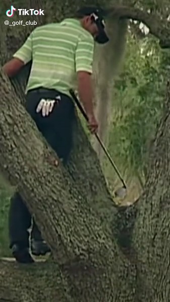 Sergio Garcia from the tree 🥶🤯#golf #golfclub #sport