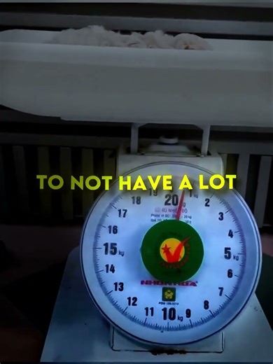 Abandoned Puppy Gets a Second Chance!