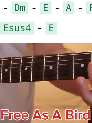 Free As A Bird-The Beatles #fy #guitar #beatles #guitartok