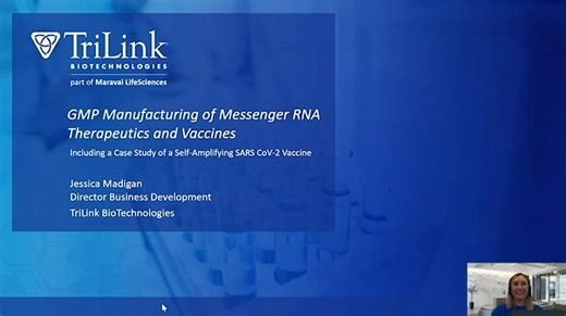 GMP Manufacturing of Messenger RNA Therapeutics and Vaccines: Case Study of a Self-Amplifying SARS CoV-2 Vaccine