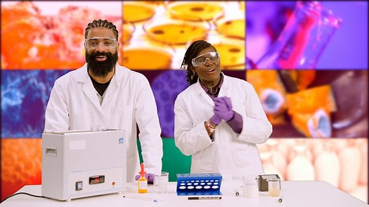 How does temperature affect the rate of decay? - Science practicals: Video playlist - BBC Bitesize