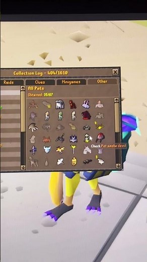 35 pets osrs