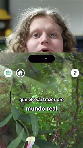 Learning with Quiver!