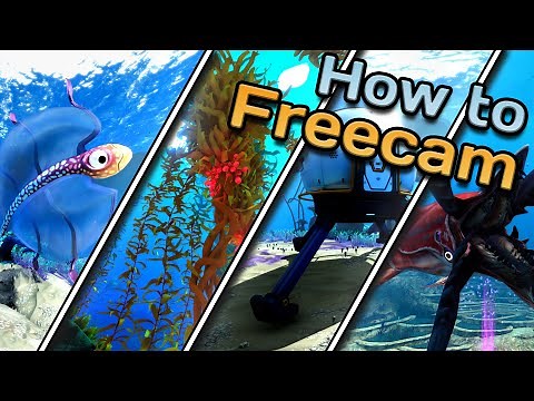 How to Freecam in Subnautica Below Zero! Making Screenshots in Game by Using Console Commands!