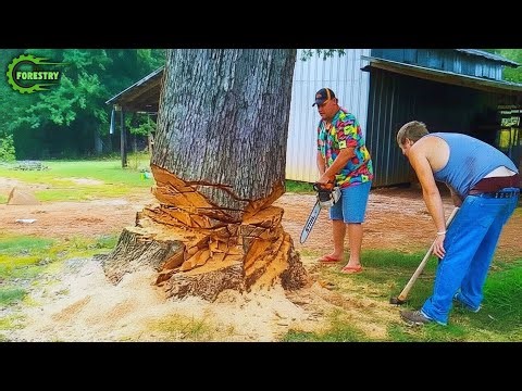 Idiots With Chainsaws: Tree Cutting Fails | Extreme Dangerous Logging Truck Fails #25