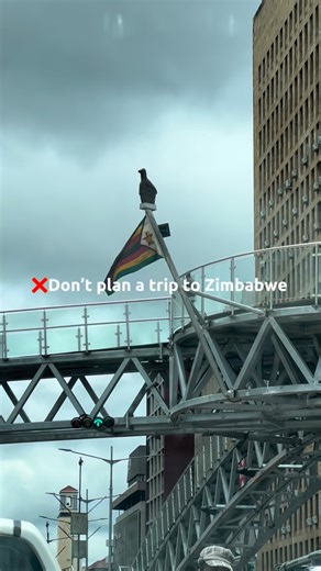 Chegutu, Zimbabwe Looking for a day trip outside of Harare or a countryside retreat for the family? Visit Drummond Farm and Wildlife! Enjoy 32 acres of beautiful countryside with animal interactions and nature walks ☀️ To book your visit, WhatsApp +44 7534 403604 #drummondfarmandwildlife #zimbabwe #chegutu #goats #farming tortoise chickens zimbabwetourism countryside | Drummond Farm and Wildlife | Facebook