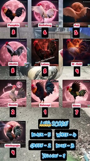 March 16 Color Coding Guide Part 1 #conditioningguide #patukatips #ytviral