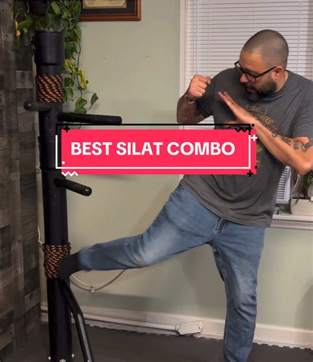 Silat Striking Progression. How to build a good combo. This progression can be used with any strikes. Make it your own! #silat #kali #fight #selfdefense #martialarts