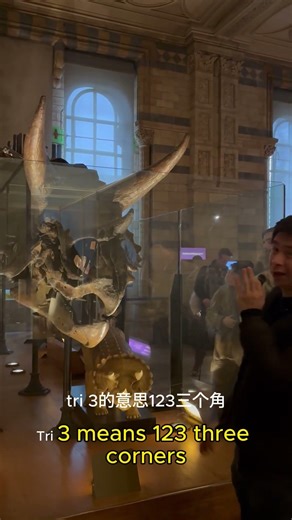 Story behind the name triceratops