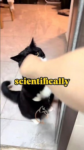 “Your cat’s purr can HEAL bones… science proves it at this frequency ”\r\r... #facts #catfacts