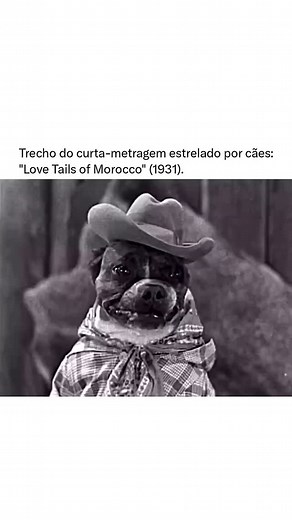 Espetacular on Instagram: ""The Dogway Melody" é um curta-metragem encantador e inovador de 1931, parte da série "Dogville Comedies" produzida por MGM. Este curta é uma paródia musical divertida do famoso filme "The Broadway Melody" (1929), mas com um toque adorável: todos os personagens são interpretados por cães. Sim, cães! Vestidos com figurinos minuciosamente confeccionados e habilidosamente manipulados para dar vida às estrelas de Hollywood, os talentosos caninos se tornaram ícones instantâ