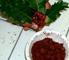 HOWTO make medieval ink