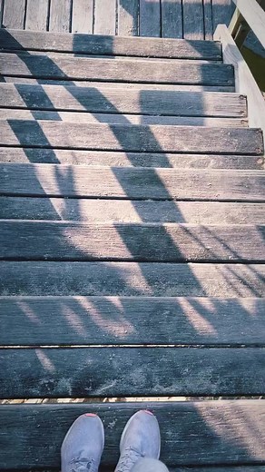 2.9K views · 21 reactions |  Let's uncover the unspoilt vistas of...