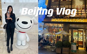 放弃投行工作｜回国加入陌生行业 我终于去京东领奖｜一个人北京行工作 逛吃